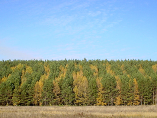 30382 (a): :1024x768